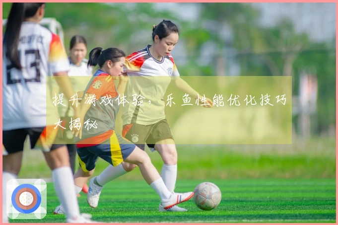 提升游戏体验,乐鱼性能优化技巧大揭秘