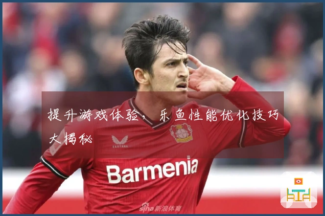 提升游戏体验，乐鱼性能优化技巧大揭秘